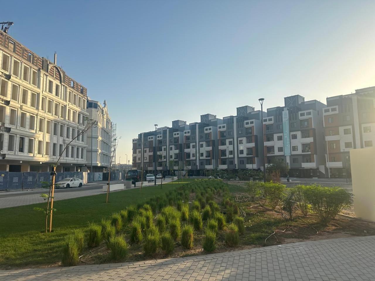 الياسمين 1
